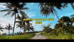 slowmo sound Viral
