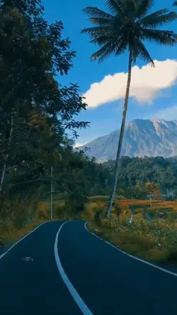 Mentahan video