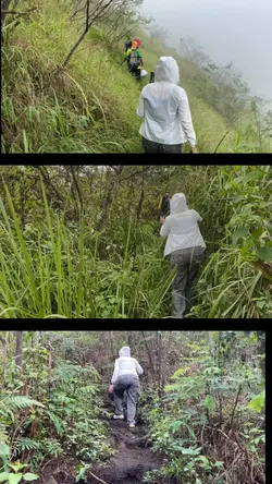 Tata letak 3 video