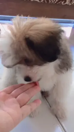 Makan dulu gaes
