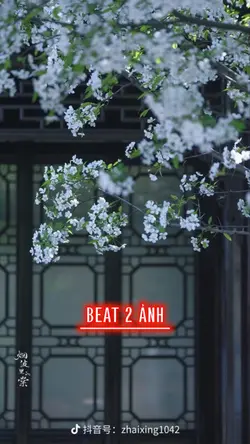BEAT 2 ẢNH