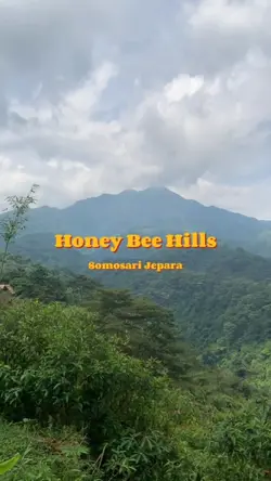 wesanderson nofilter