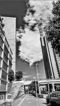 写真14枚動画1つでできる星茶会