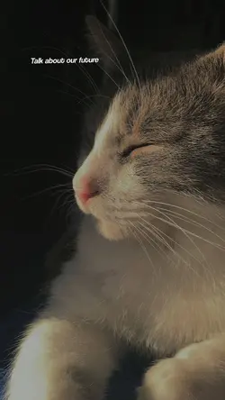 Lirik lagu
