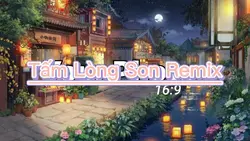 Tấm Lòng Son Remix