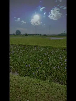 Mẫu đổi nền trời