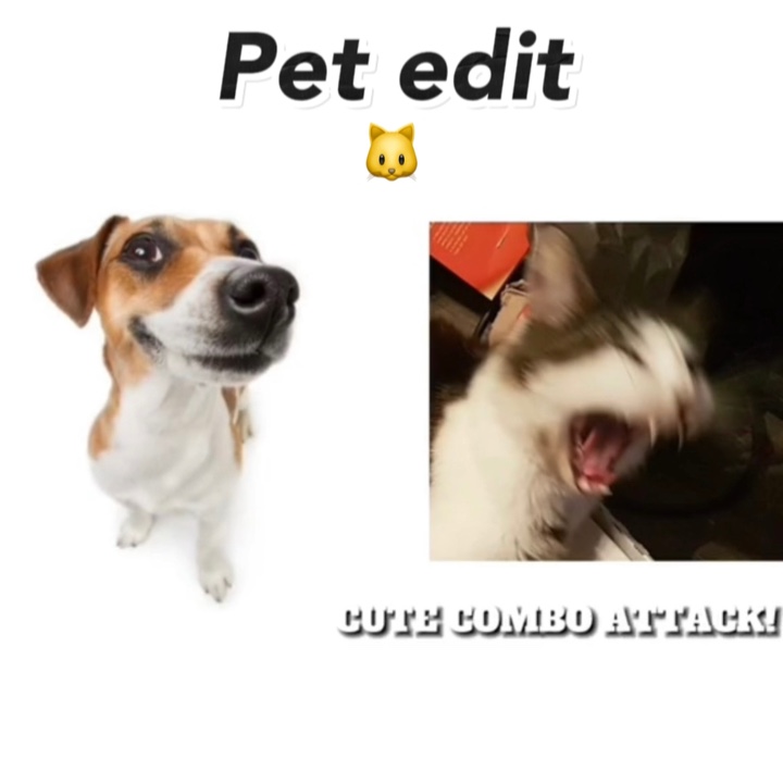 Edición de mascotas