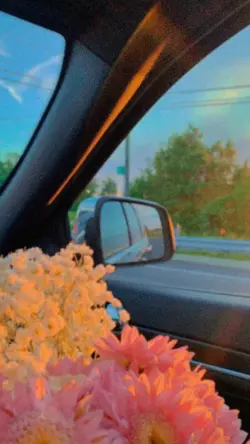 Anyone Justin Bieber