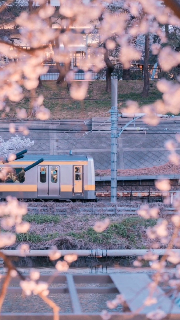 Transisi 8 Foto