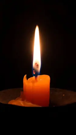 mauju qolbi