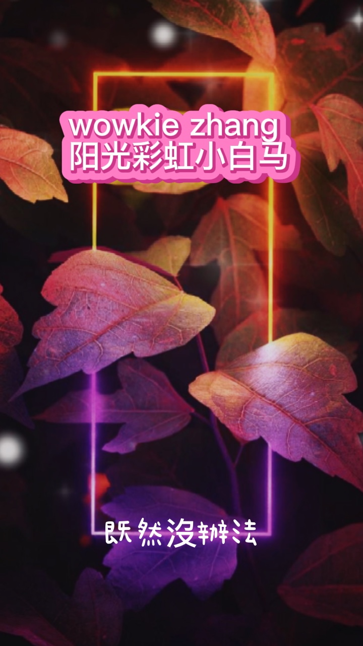 Wowkie zhang