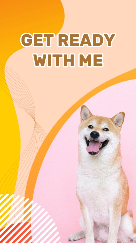Nourriture pour animaux ici
