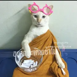 เล่นเพลง