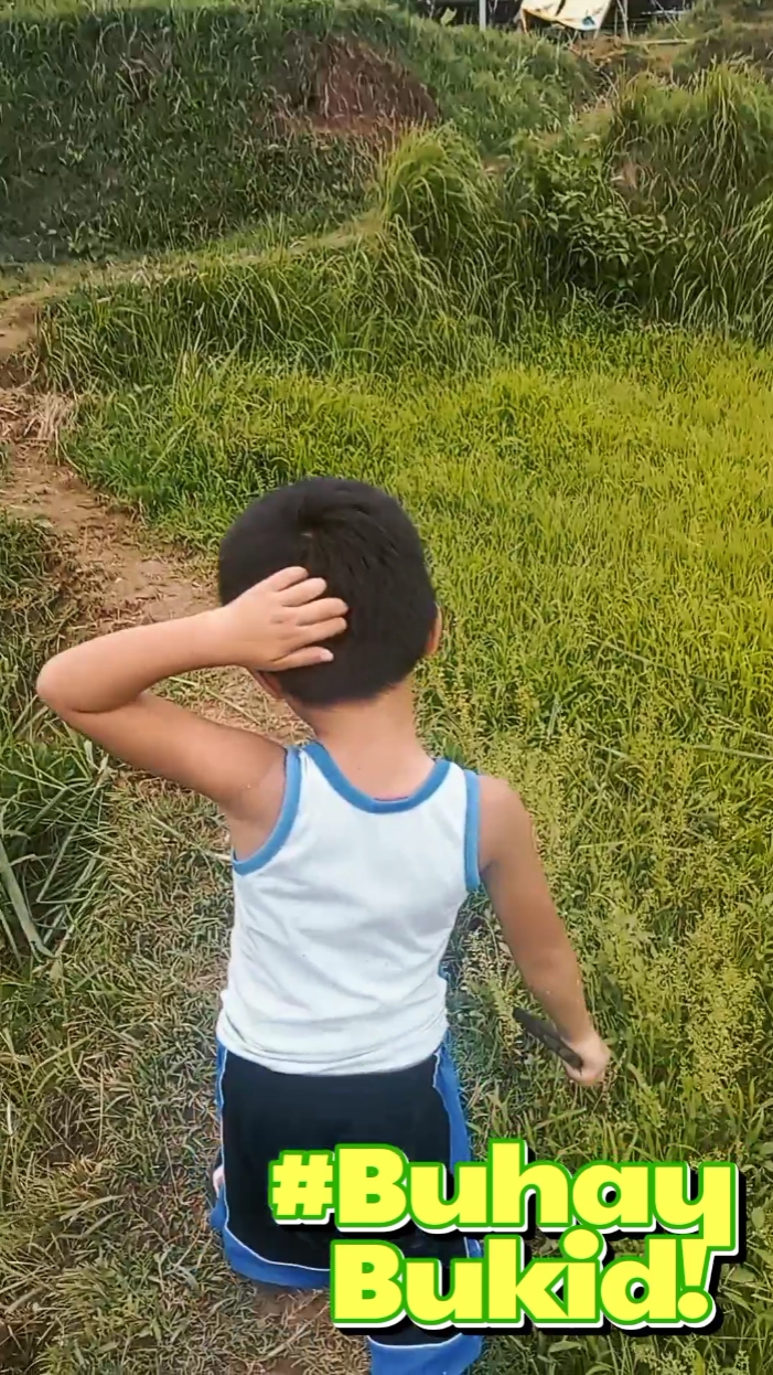 Buhay Bukid