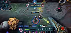Montage dierot 