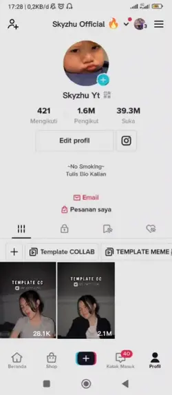 Profil Tiktok 1M+