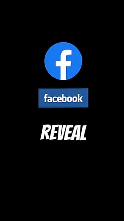 FB reveal pa export 