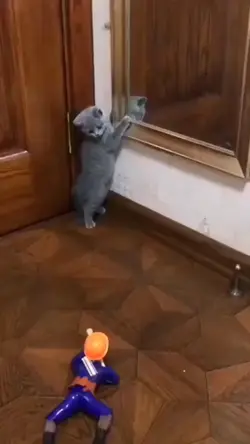 toloooong