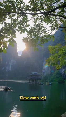 1 video cảnh