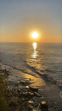 SEA 🌊