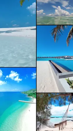 VLOG GRID 31.03