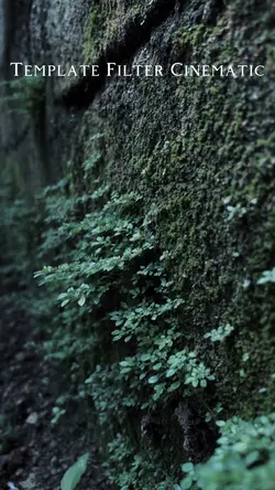 Cinematic Filter