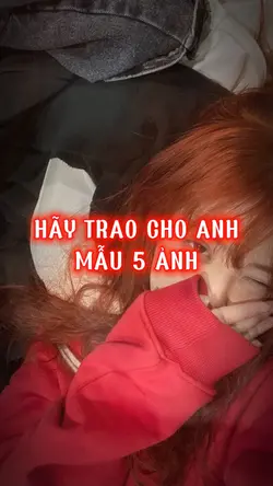HÃY TRAO CHO ANH