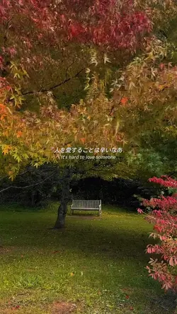 It's hard to♡someone