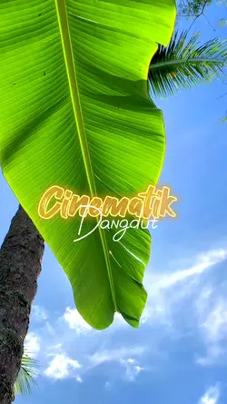 Cinematik Dangdut 