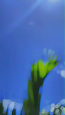 Cinematic sound kane