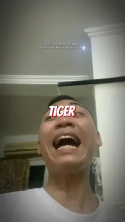 tiger 