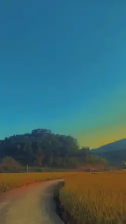 Bình minh mỗi sáng