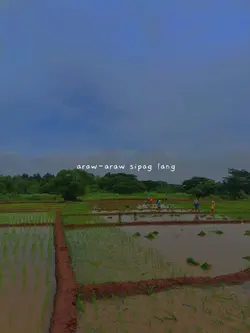 araw araw sipag lang