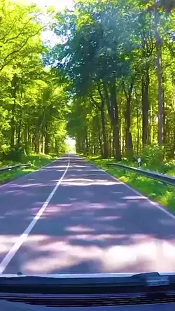 EveryBreathYouTake