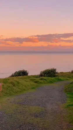 1วีดีโอ9รูป