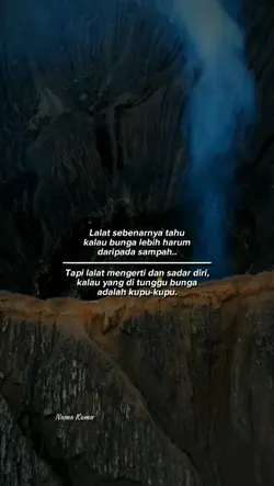 Lalat sebenarnya tau