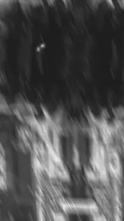 ご自由に使ってください！