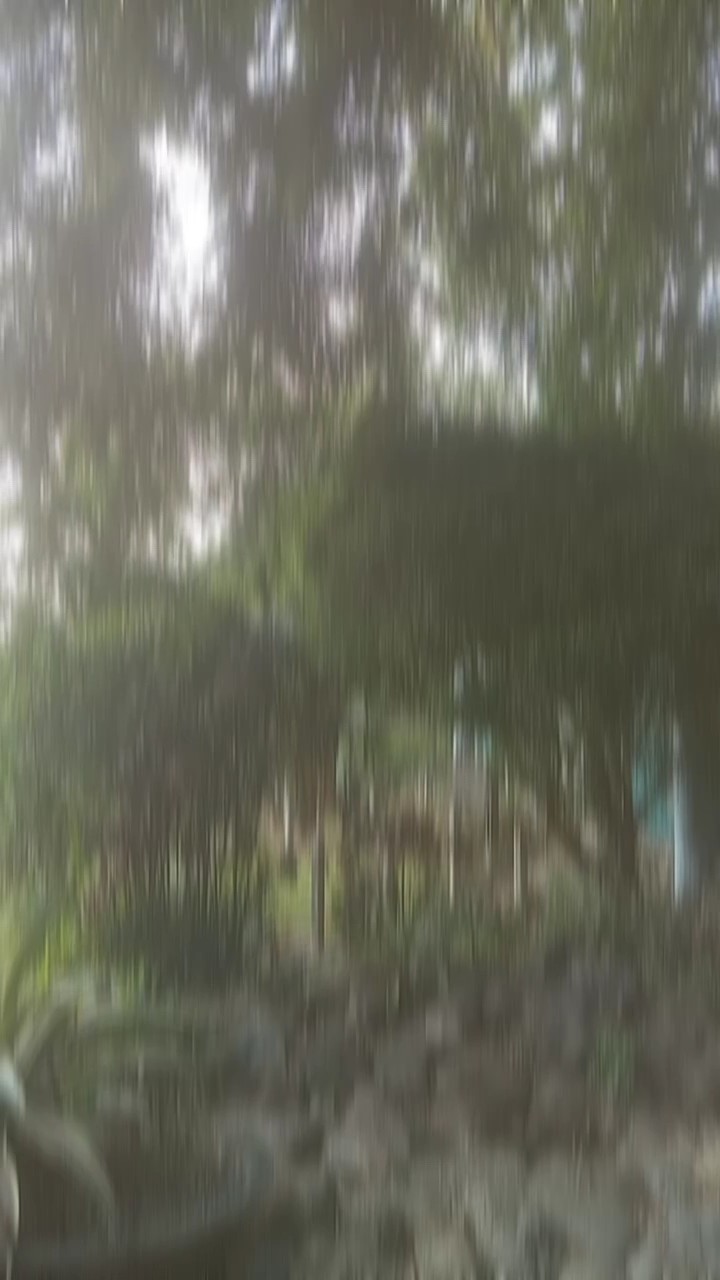 Boas lembranças