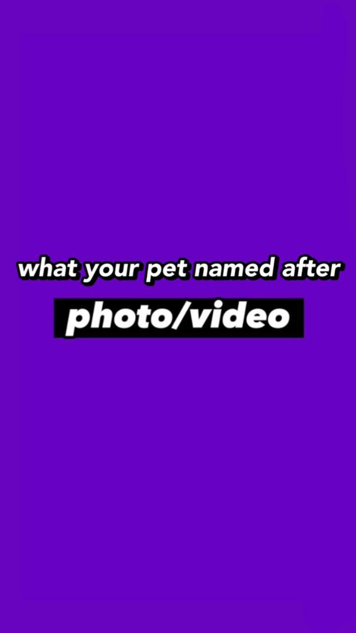 what your pet named