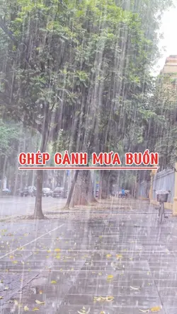 Ghép Cảnh Mưa Buồn