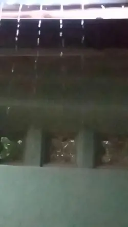 yang hujan turun