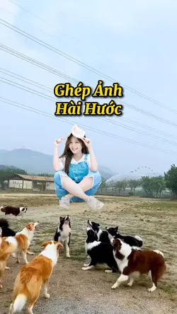 Ghép Ảnh Hài