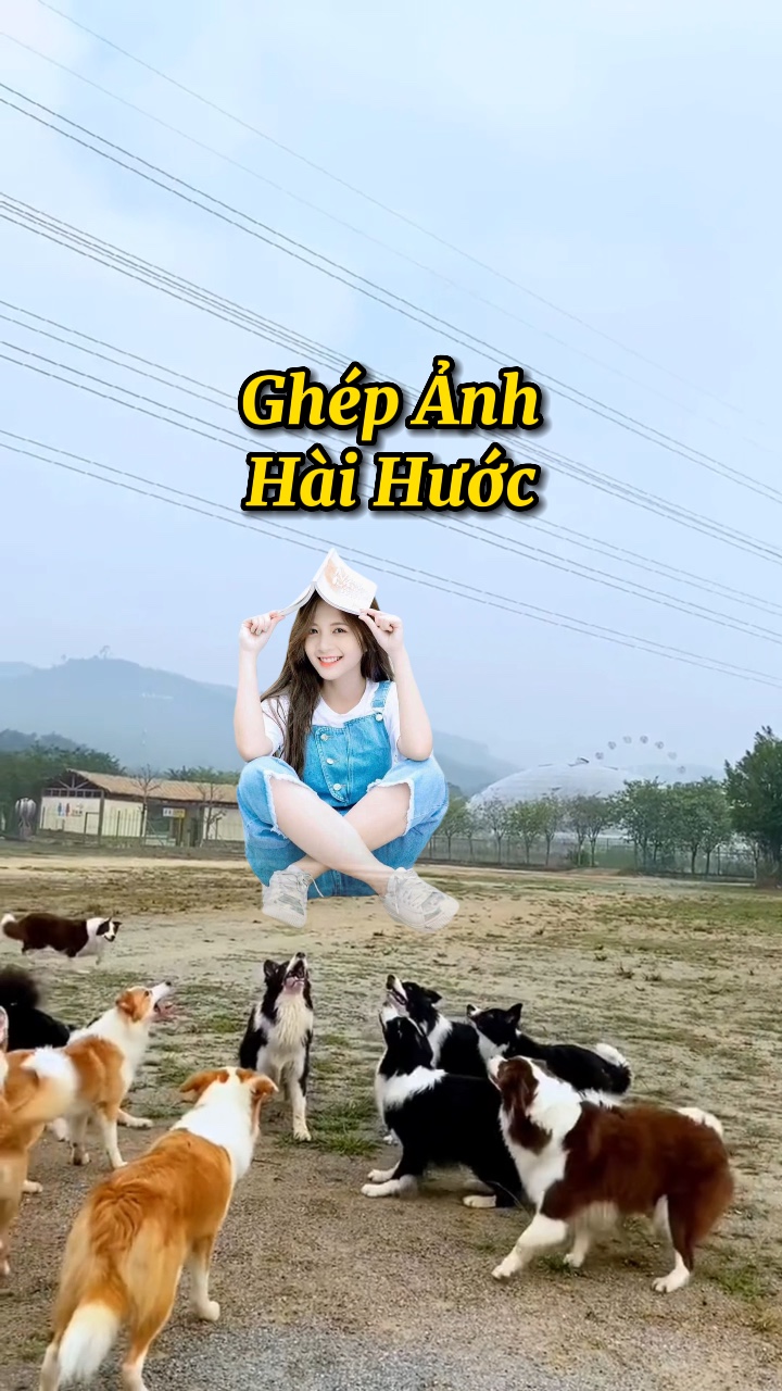 Ghép nh Hài