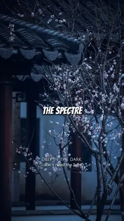 The Spectre Remix