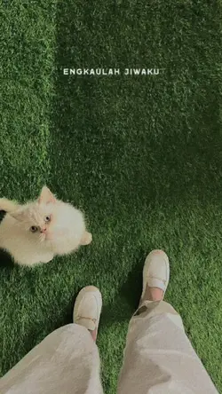 Lagu Viral di Tiktok