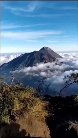 Pemandangan Gunung