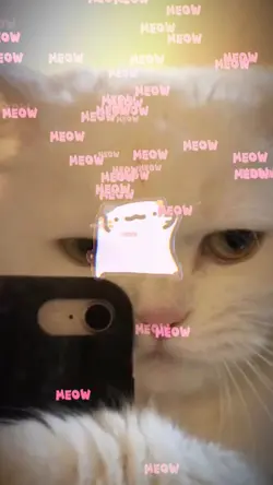 Mẫu 2 ảnh cute