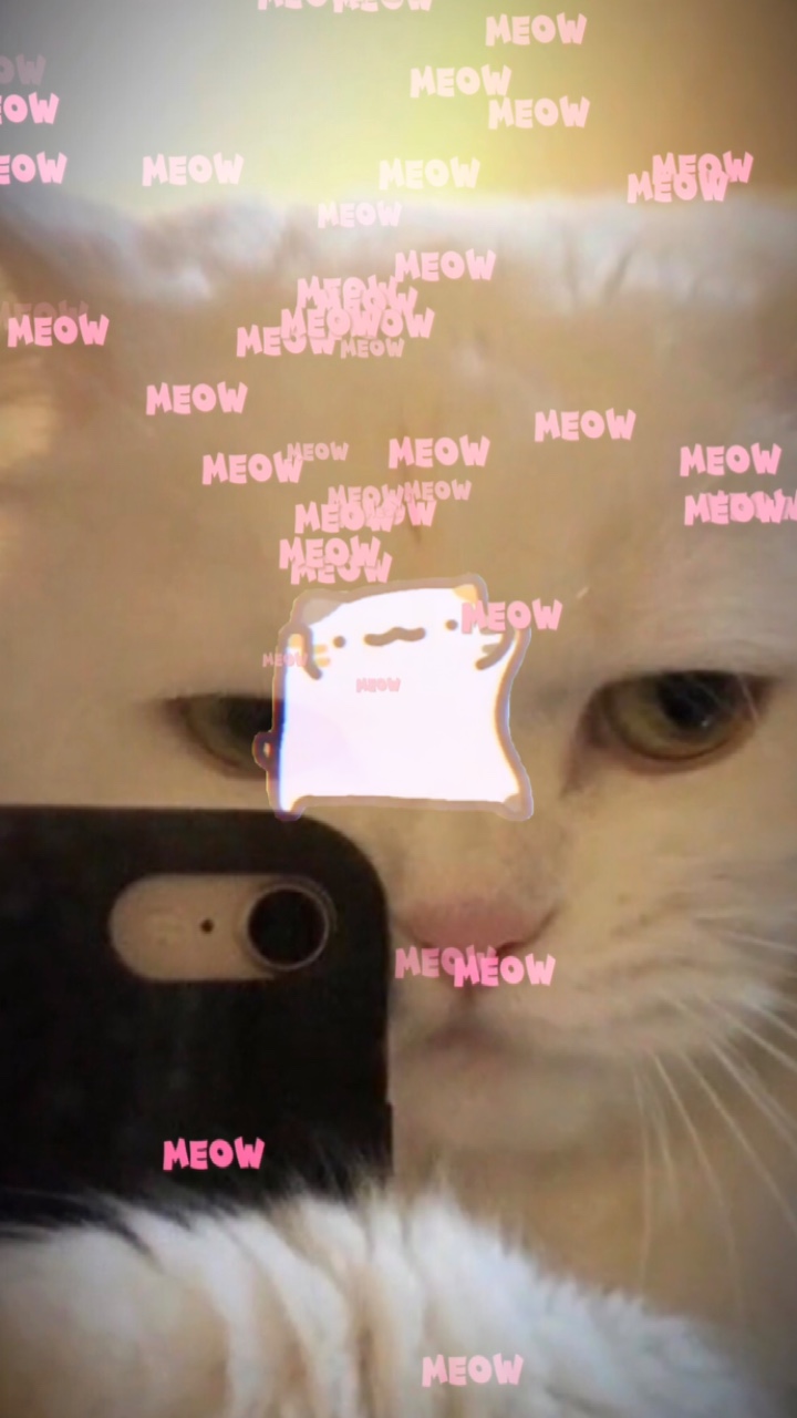 Mu 2 nh 귀엽다