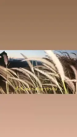 วิดีโอ+เสียง