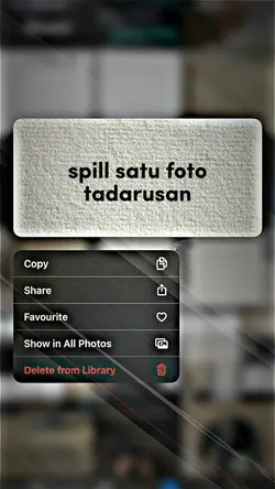 SpillSatuFotoTadarus